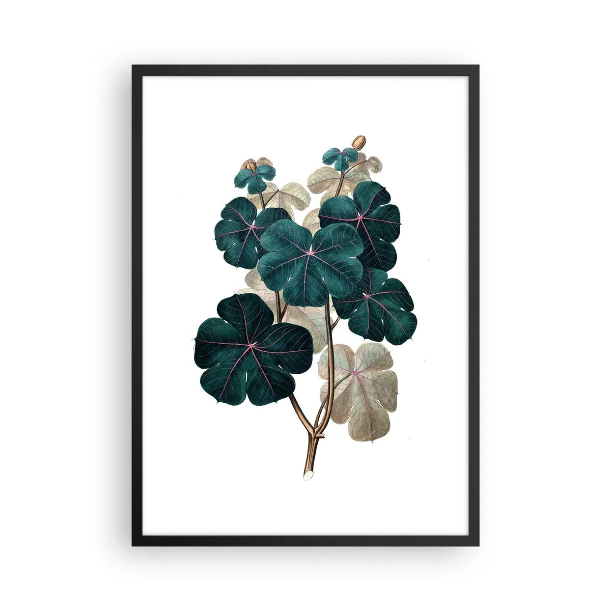 Poster in black frame - Botanical illustration with dark green leaves on a light background - 50x70cm - From the Old Herbarium - Modern wall decoration for the living room and bedroom ARTTOR