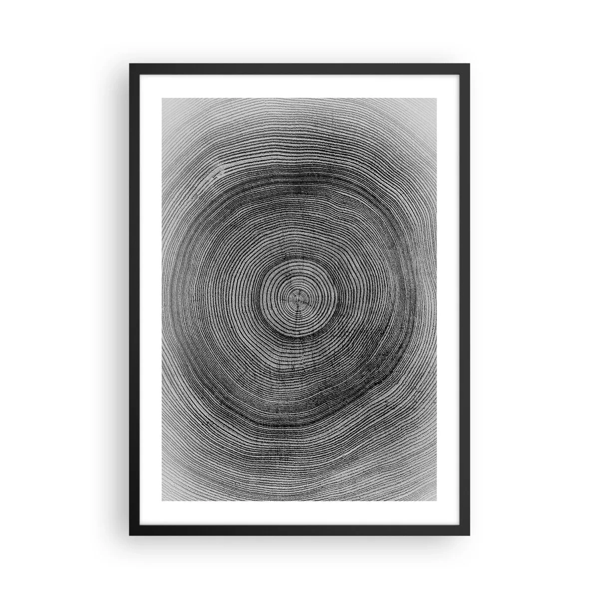 Poster in black frame - Black and white graphic showing a cross-section of a tree trunk - 50x70cm - Sign of the Time - Modern wall decoration for the living room and bedroom ARTTOR