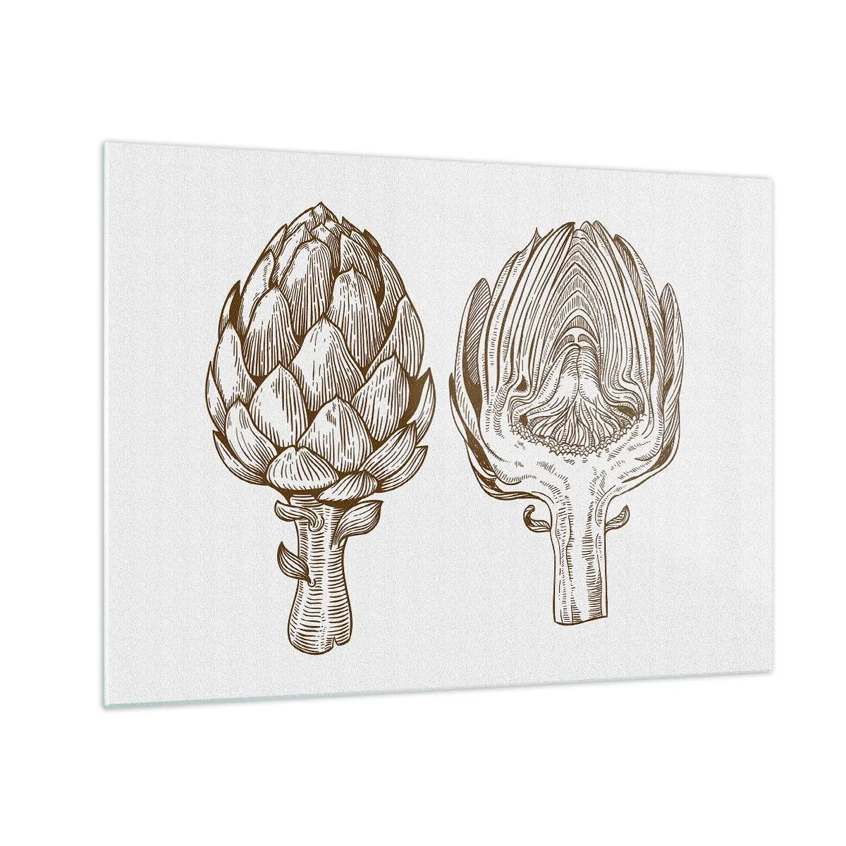 Glass picture - Botanical drawing of an artichoke in its entirety and in cross-section - 70x50cm - Anatomy Lesson - Modern wall decoration for the living room and bedroom ARTTOR