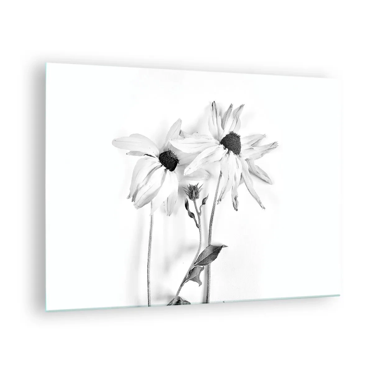 Glass picture - Black and white flowers in a minimalist style - 70x50cm - No one Wants To Be Alone - Modern wall decoration for the living room and bedroom ARTTOR