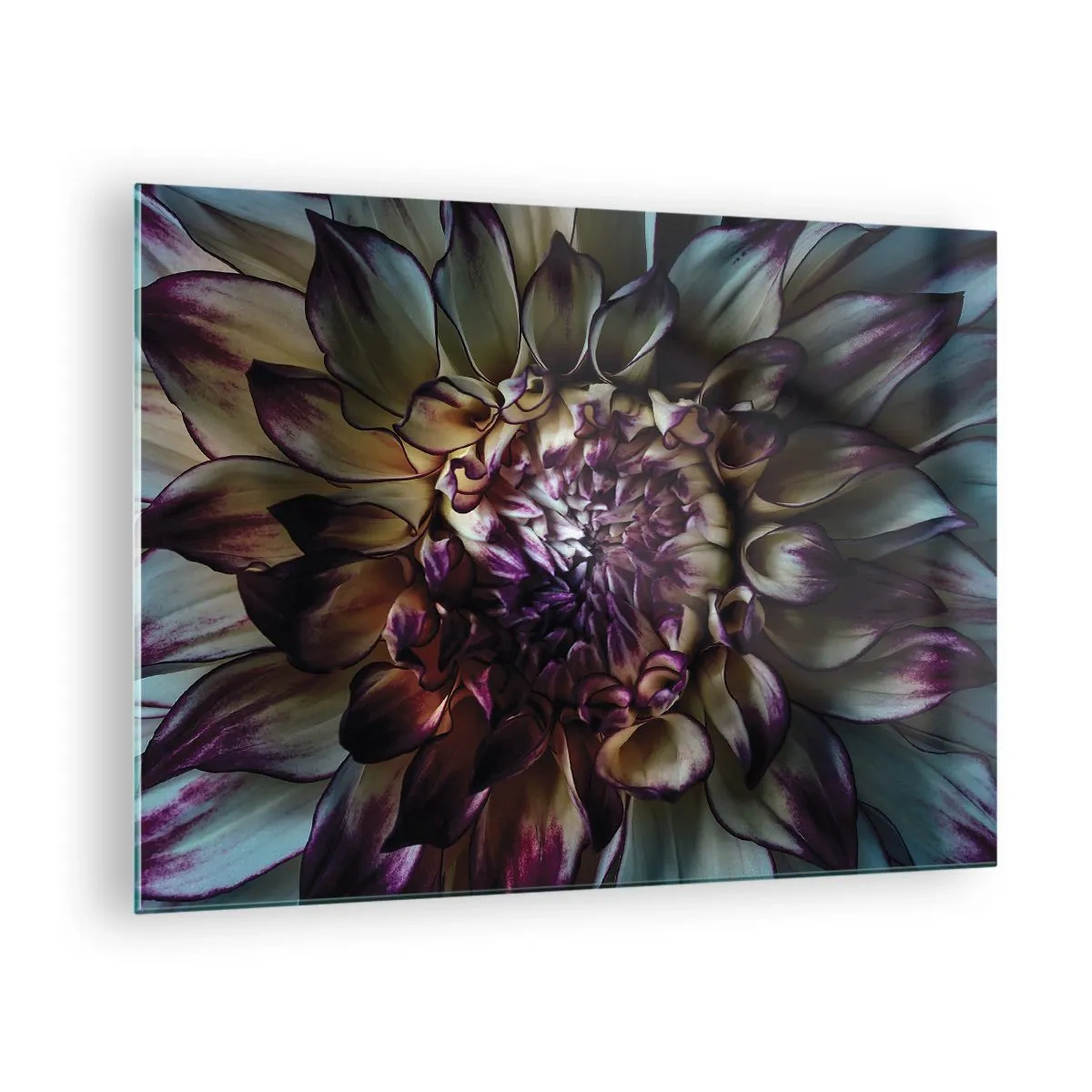 Glass picture - Close-up of a flower in a dark color palette - 70x50cm - The Blossoming of Youth - Modern wall decoration for the living room and bedroom ARTTOR