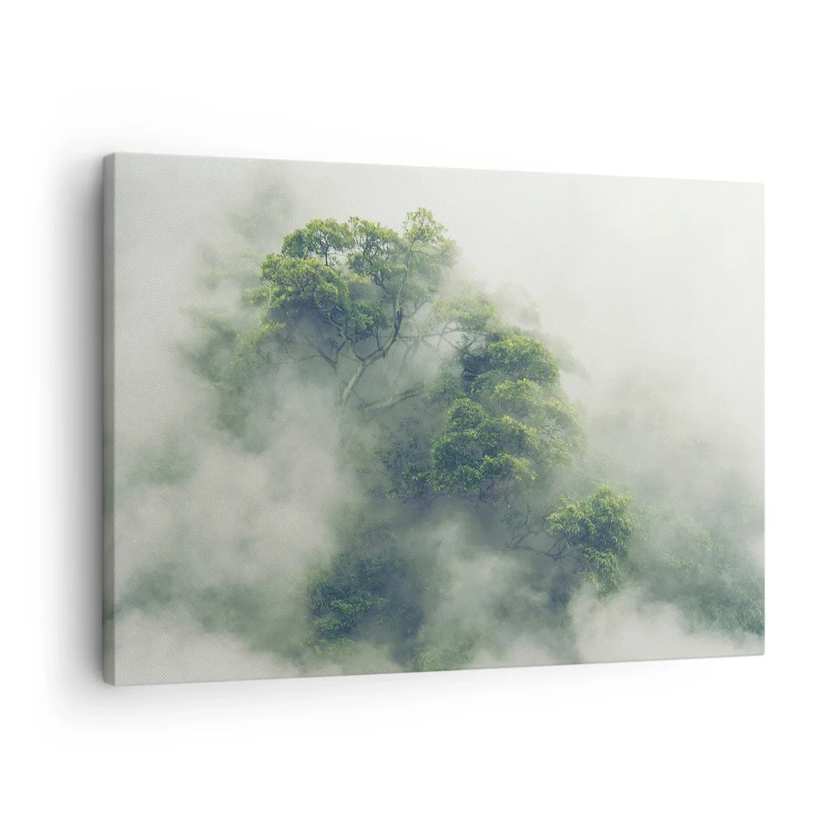 Canvas picture - Green trees in thick fog against a natural background - 70x50cm - Wrapped In Fog - Modern wall decoration for the living room and bedroom ARTTOR